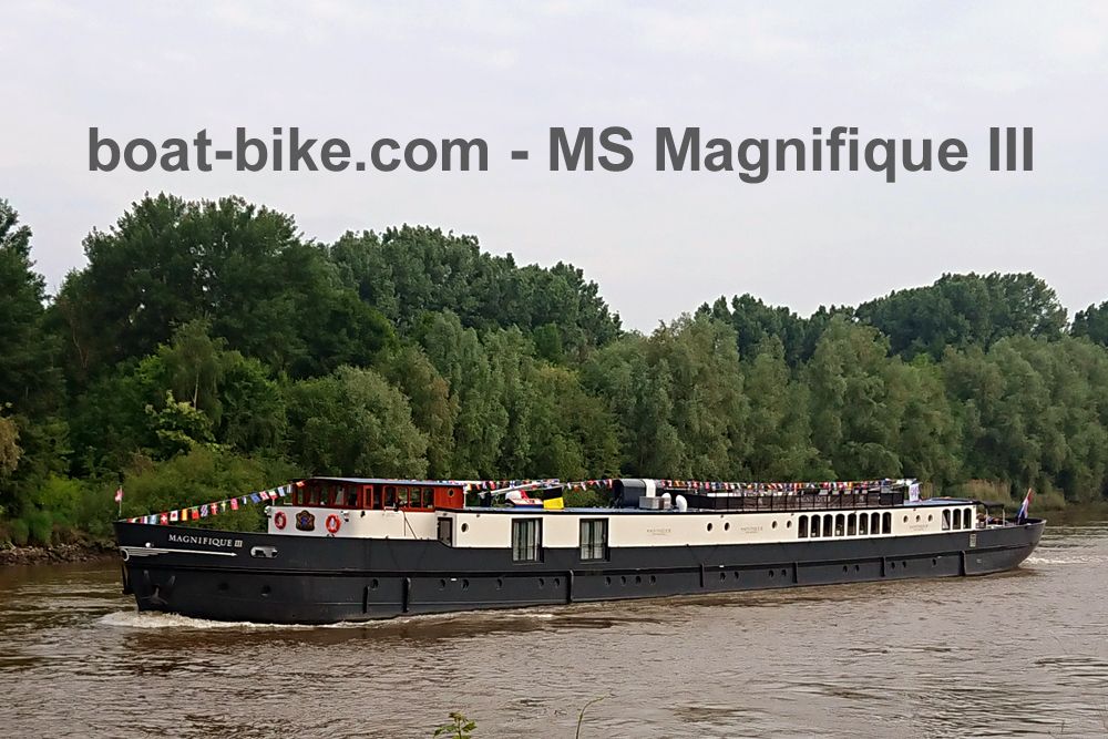 MS Magnifique III